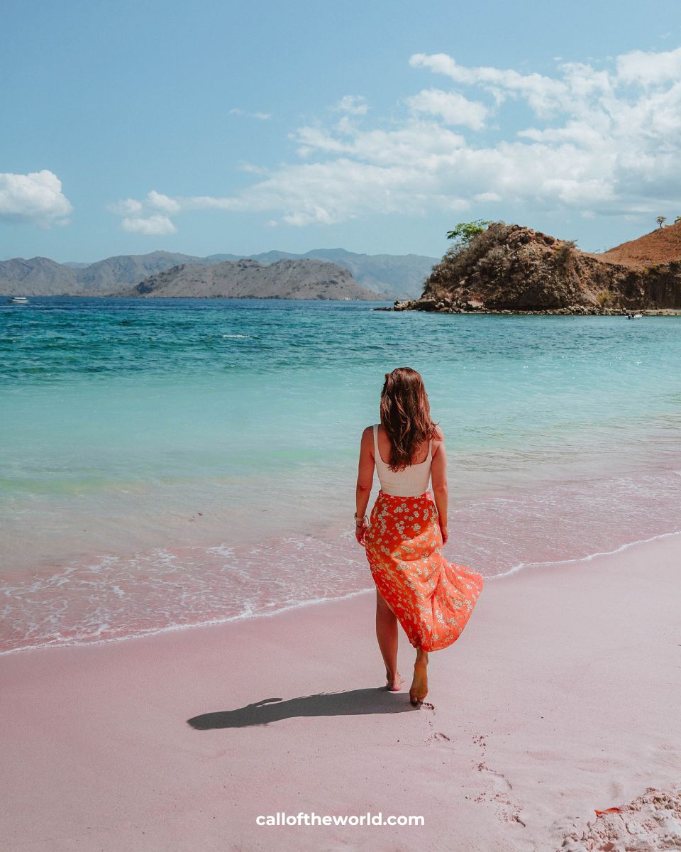 How to Visit Komodo National Park and Padar Island, Indonesia