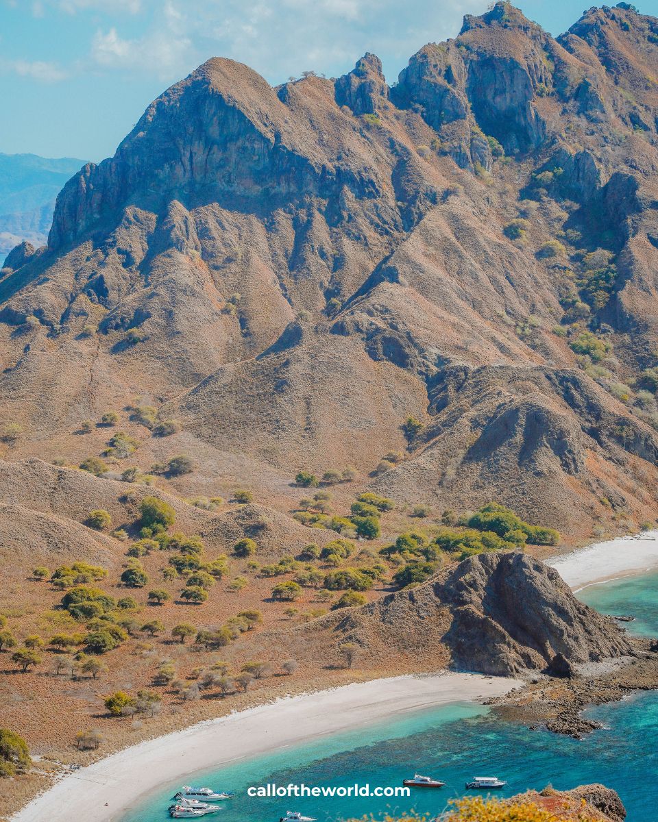 Hike, Sail, and Spot the Elusive Komodo Dragon: The Ultimate Guide to Komodo National Park and Padar Island