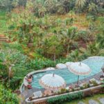 How to Get to Ubud from Bali Denpasar Airport: Complete Guide