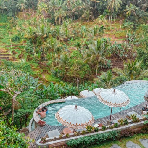 How to Get to Ubud from Bali Denpasar Airport: Complete Guide