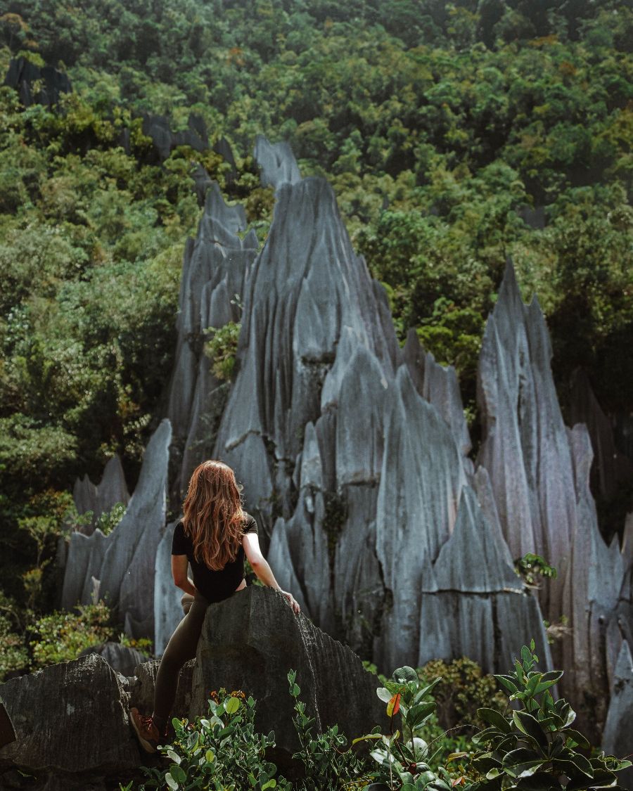 How to Hike the Mulu Pinnacles, Borneo