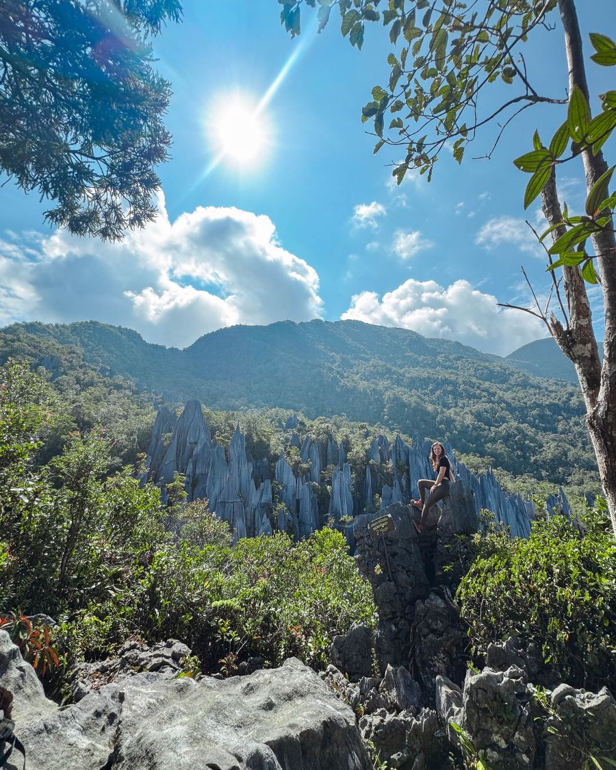 How to Hike the Mulu Pinnacles, Borneo