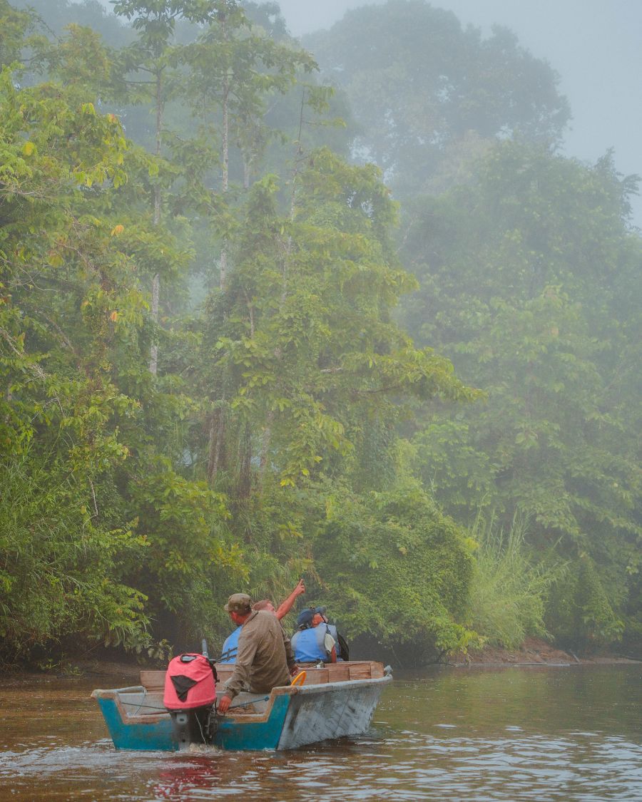 Join a Kinabatangan River Cruise in Borneo