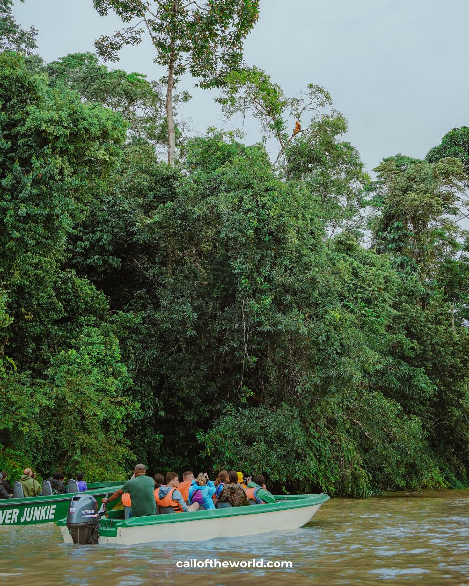 Kinabatangan River Cruise - Borneo Wildlife Safari