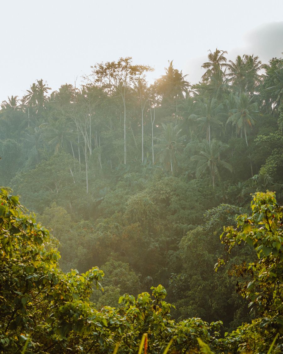 Ubud, Bali