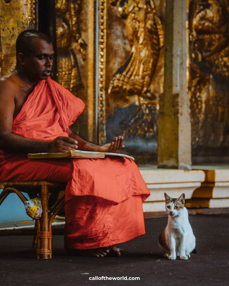 How to Spend 3 Weeks in Sri Lanka: Epic Itinerary. Colombo.