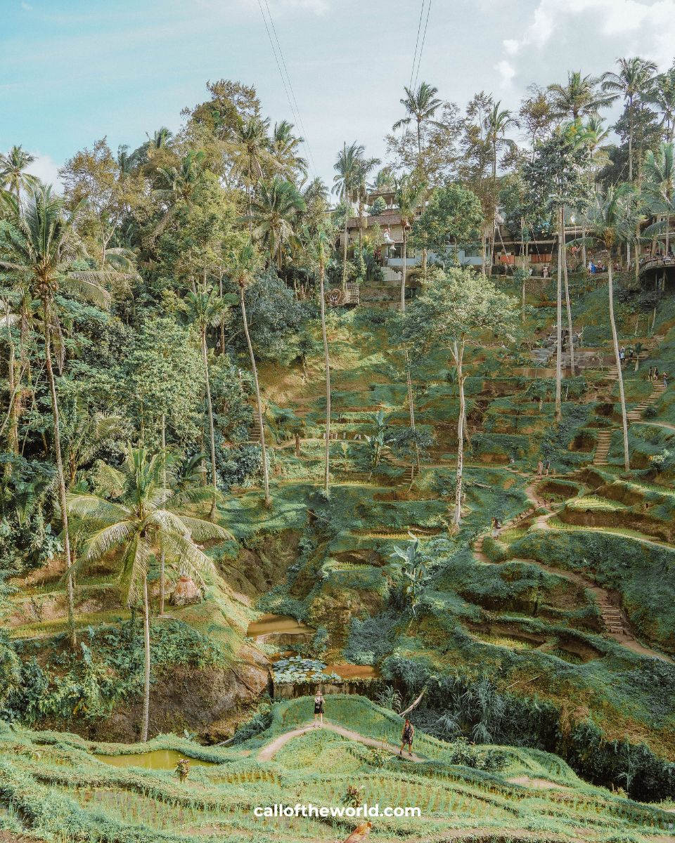 Ubud, Bali, Indonesia