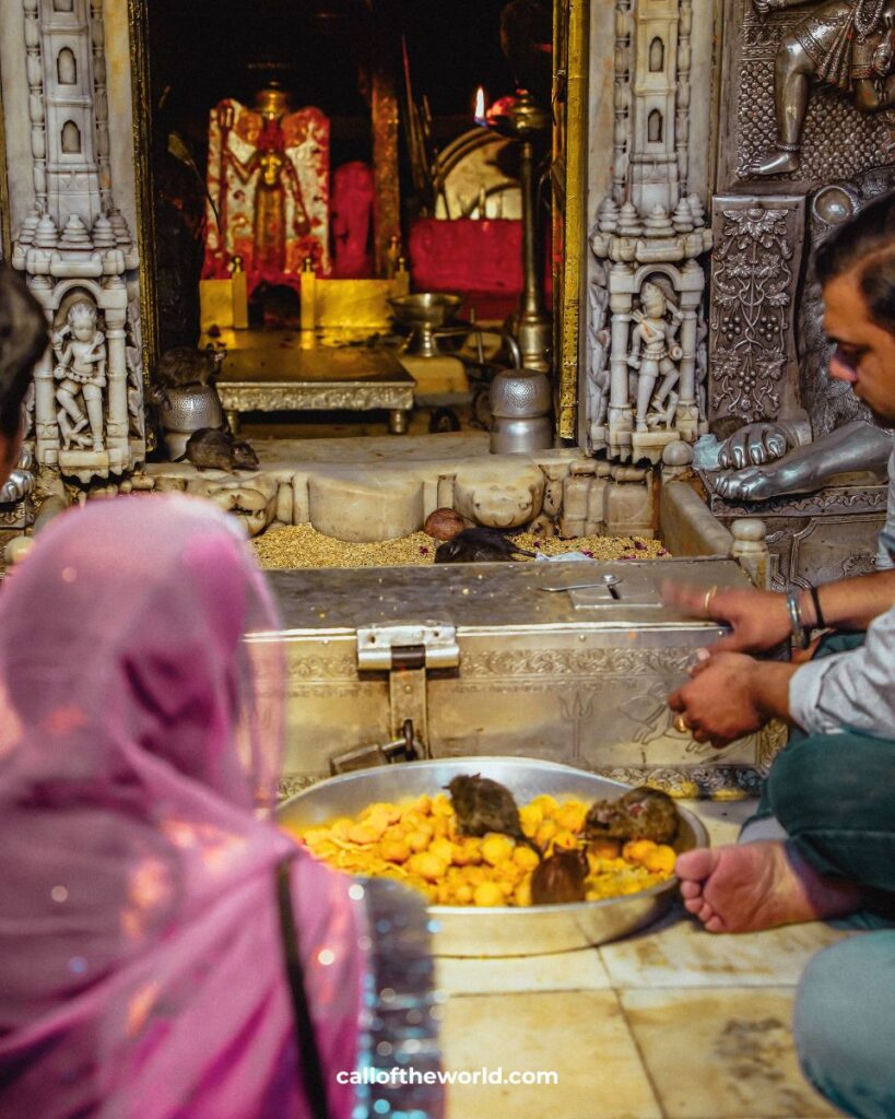 Bikaner Itinerary - Karni Mata Rat Temple - Rajasthan - India