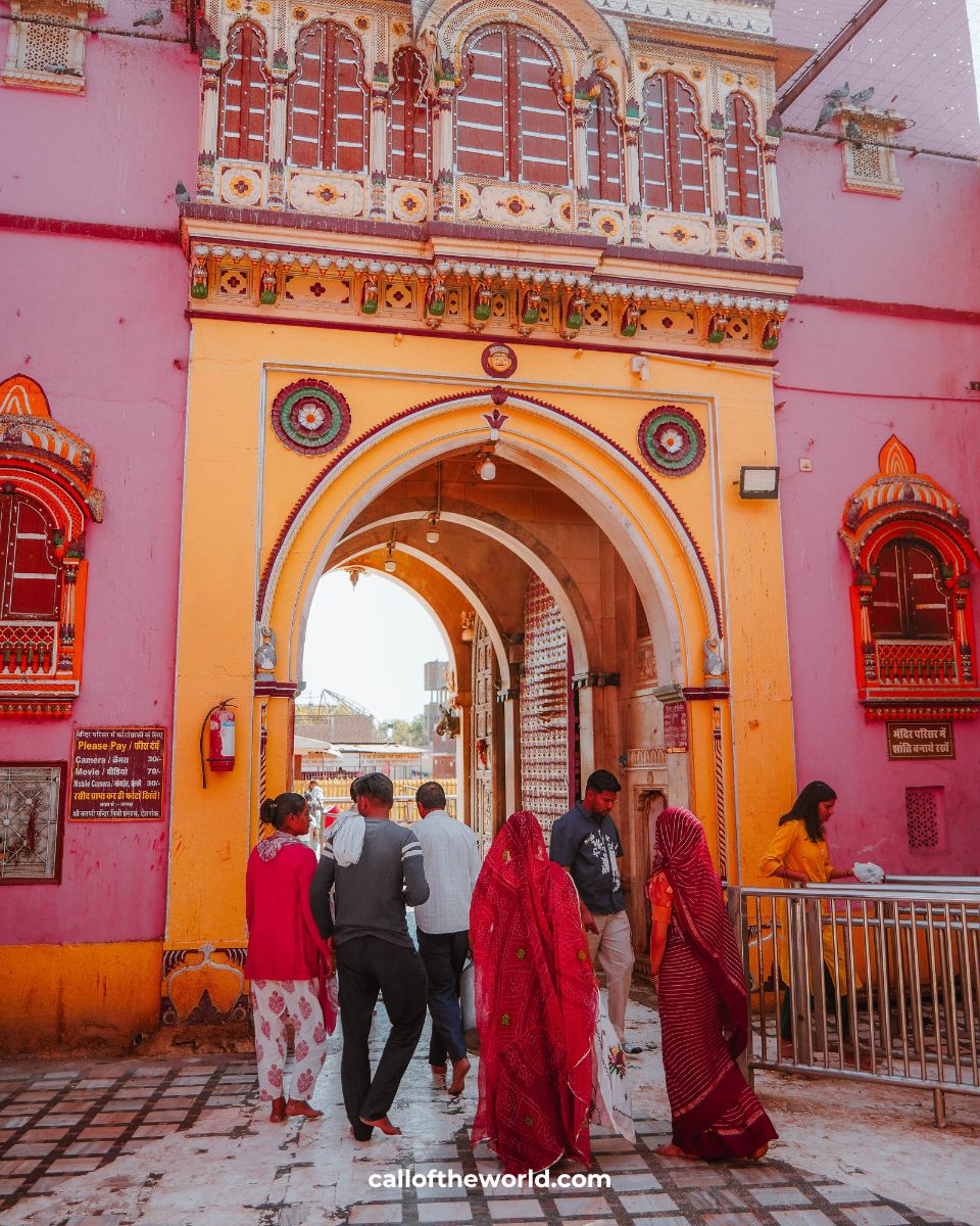 Visit India's Famous Rat Temple: Karni Mata in Deshnoke, Rajasthan