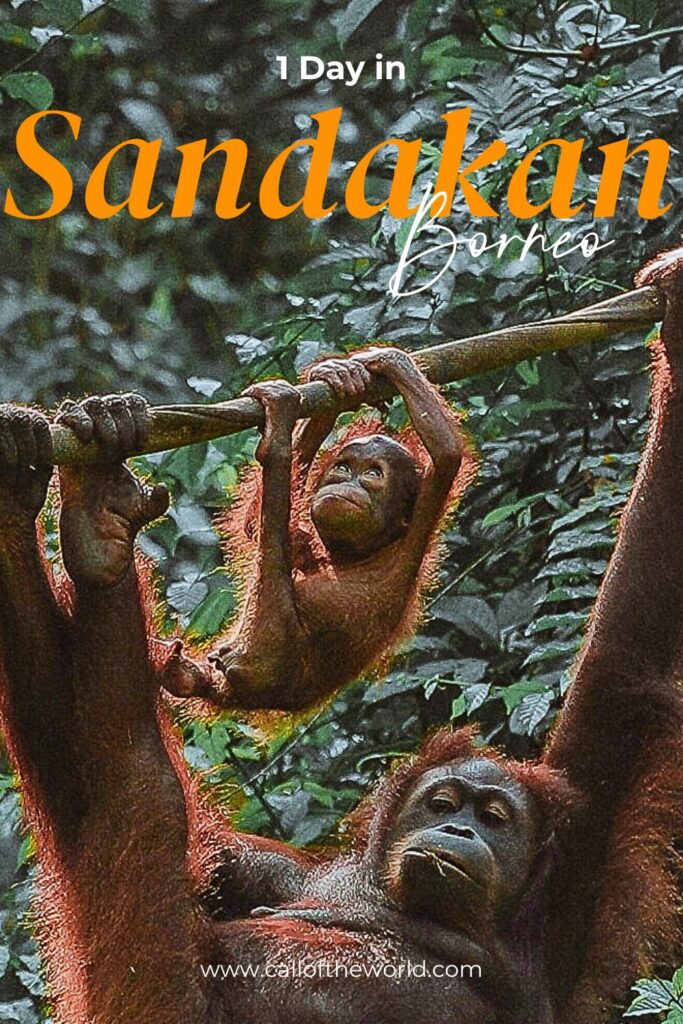 Borneo - 1 Day in Sandakan Itinerary - Pinterest
